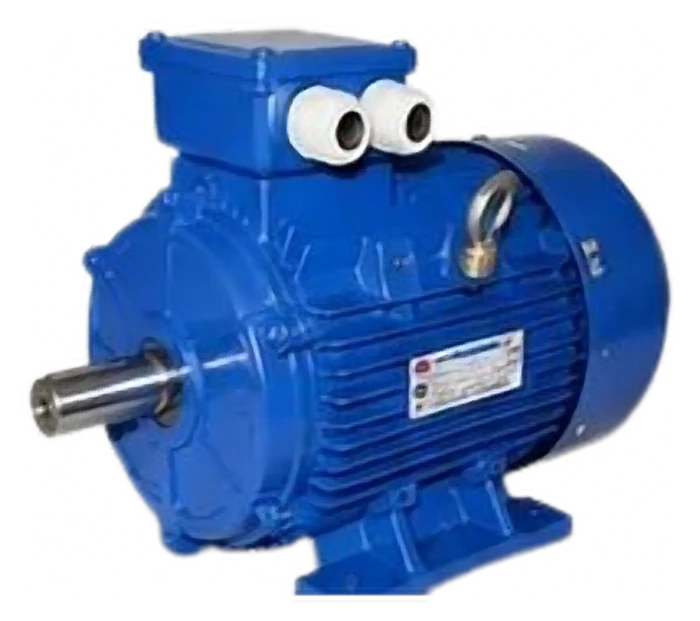 Motor Yuema Y1A