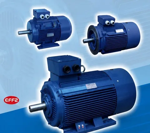 Bologna Motor Induksi 3 Fasa EFF2